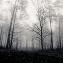 edward-and-friends avatar