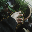 edwardjkaspbrak avatar