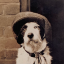 edwardsviolentmusic avatar