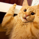 edwardturtle123 avatar