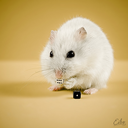 edwardvonmouse avatar