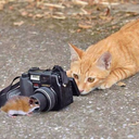 eeddorg1-blog avatar