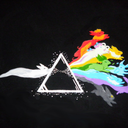 eeveelutions-of-the-tardis avatar