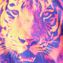 efeito--psicose avatar