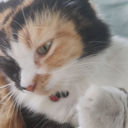 efeitodasletras avatar