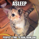 effing-perfect avatar