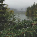 effortlesslie avatar