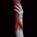 efim-eros-posts avatar