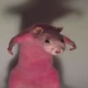 efimeraresiliencia avatar