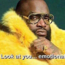 efreet-owlboi avatar