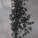 eftelyasworld avatar