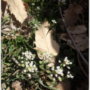 egesenibekliyorizmir avatar