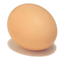 egg4eva69-blog avatar