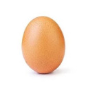 eggandspoon34 avatar