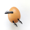 eggcaw avatar