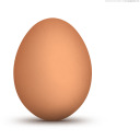 eggcitybitch avatar