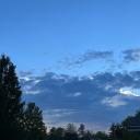 eggldritchfish avatar