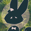 eggnoodlesoop avatar