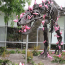 eggplantaesthetic avatar