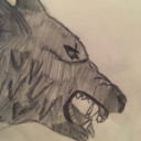 eggroll-says-no avatar