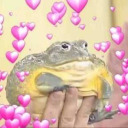 eggstencialcrisis avatar