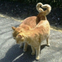 egligeikjedeg avatar