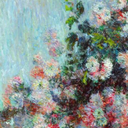 ehli-gonul-blog avatar