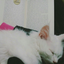 ehveniserbirinsan avatar