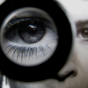 eideticfields avatar