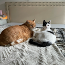 eightofpentakles avatar