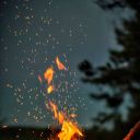 einafetssomel avatar