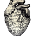 einenachtinewigkeit avatar