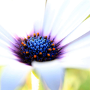 einmal-alles-bitte avatar