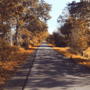 einmalundfuerimmer avatar