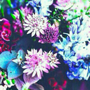 einsatzreichtauch avatar