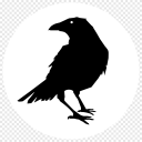 eivors-ravens avatar