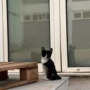 ejderiyaegitmenitobe avatar