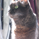 ekdhamthik-blog avatar