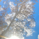 ekmekustupizza avatar