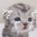 el3ctrikang3l avatar