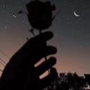 elamor-y-uncafe avatar