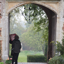 elderflower-tea avatar