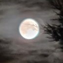 elderitch-poet avatar