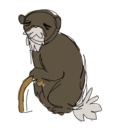 elderkitisbest avatar