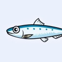 elderlysardine avatar