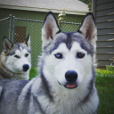 eldermillenial44 avatar