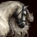 eldervinefields avatar