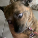 eldritch-abomination-kill-me avatar