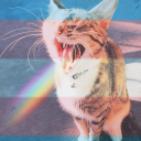 eldritch-metal-squirrel avatar