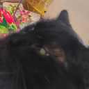 eldritch-omen avatar